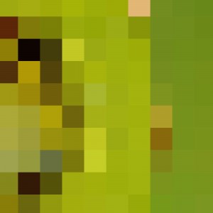 KIWI MOSAIC PATTERN